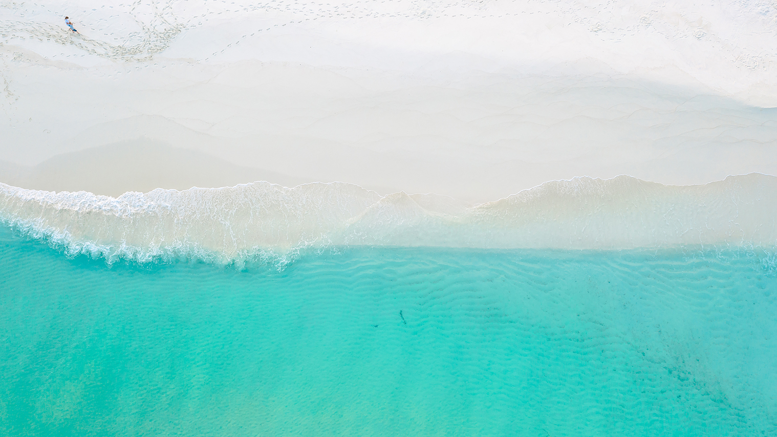 Türkisfarbenes Meer des indischen Ozeans an schneeweißem Sand der Sandbank von Soneva Fushi im Baa Atoll der Malediven