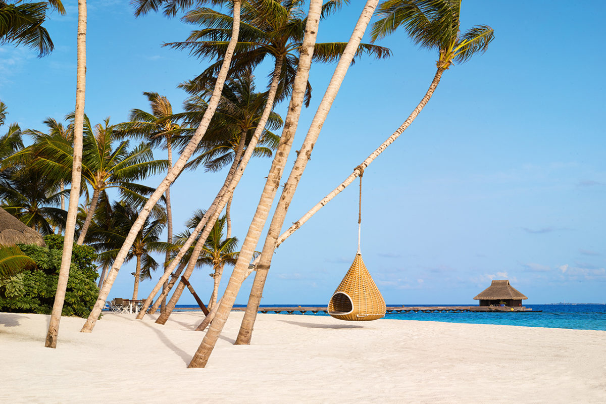 Schneeweißer Strand mit grünen tropischen Palmen des Luxusresorts Velaa Private Island Malediven