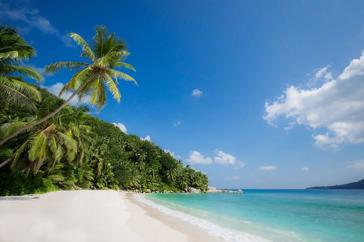 Schneeweißer Strand mit Palmen des Luxusresorts Six Senses Zil Pasyon Seychellen