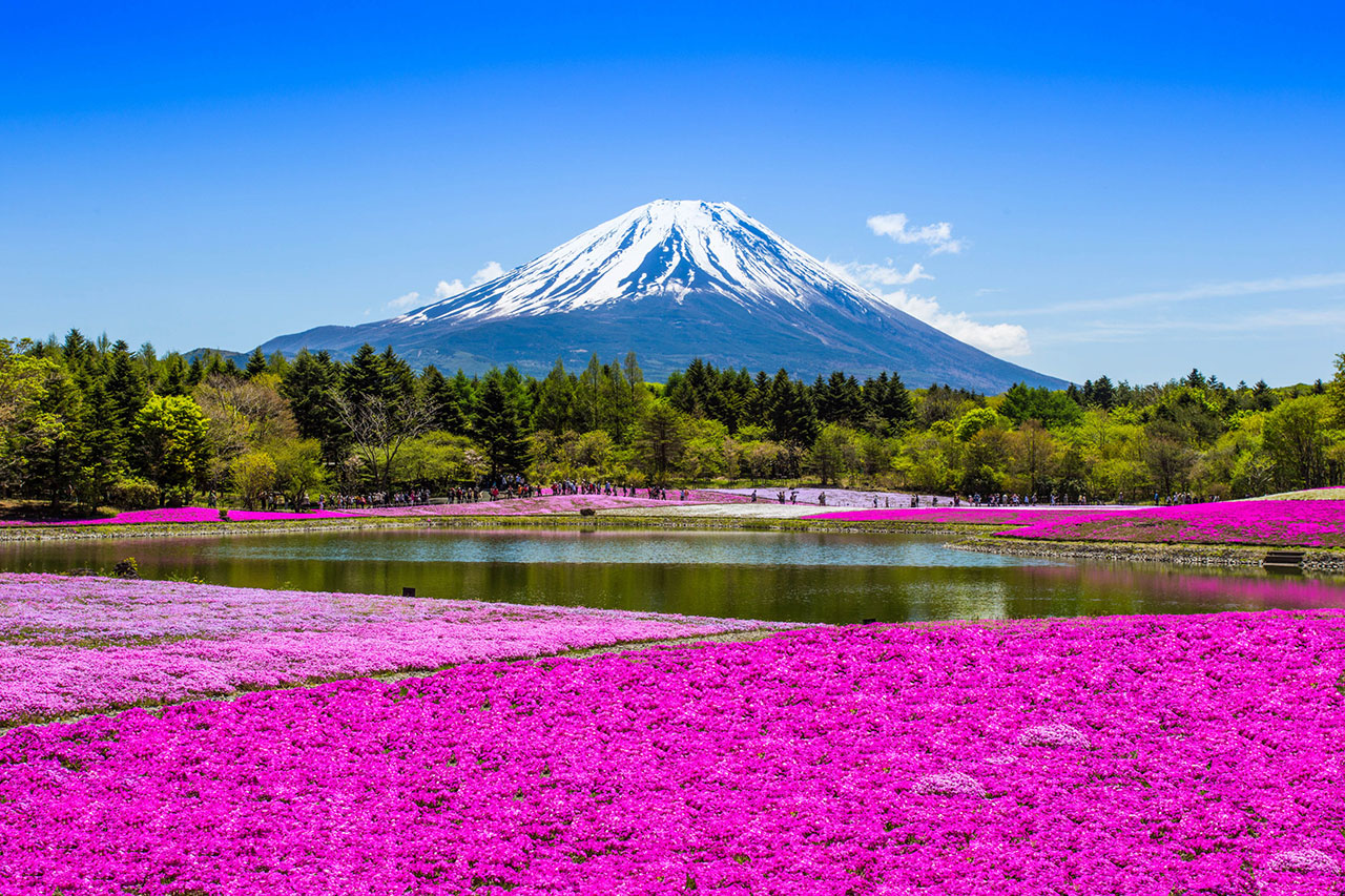 Blick auf Mount Fuji im Sommer in Japan buchbar bei Reiss Reisen Luxusreisen