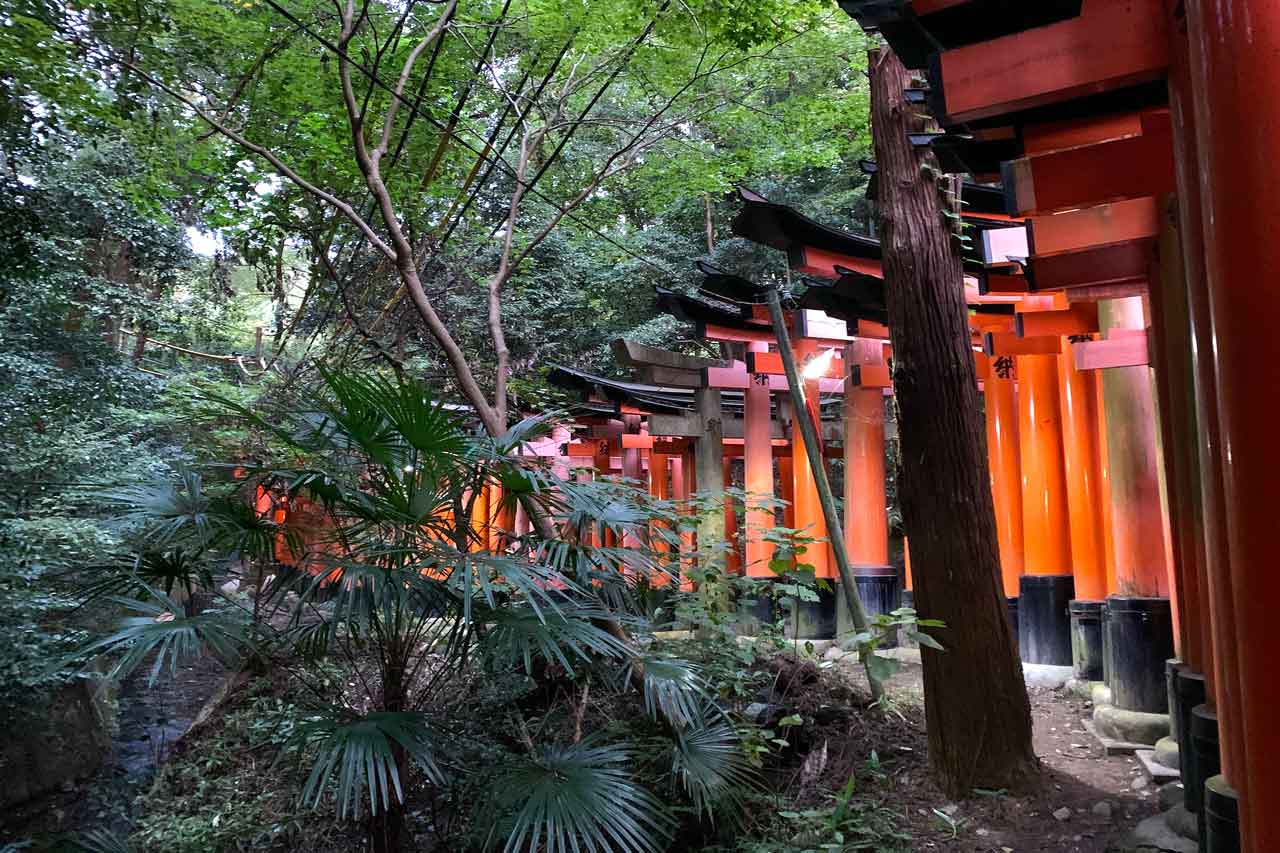 Kyoto_Japan_Tempel_Reiss_Reisen_Luxushotels