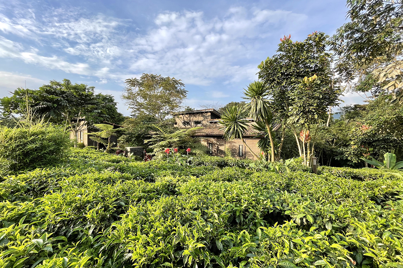Blick auf die Villa des One and Only Nyungwe House in Nyungwe bei Tageslicht buchbar über Reiss Reisen