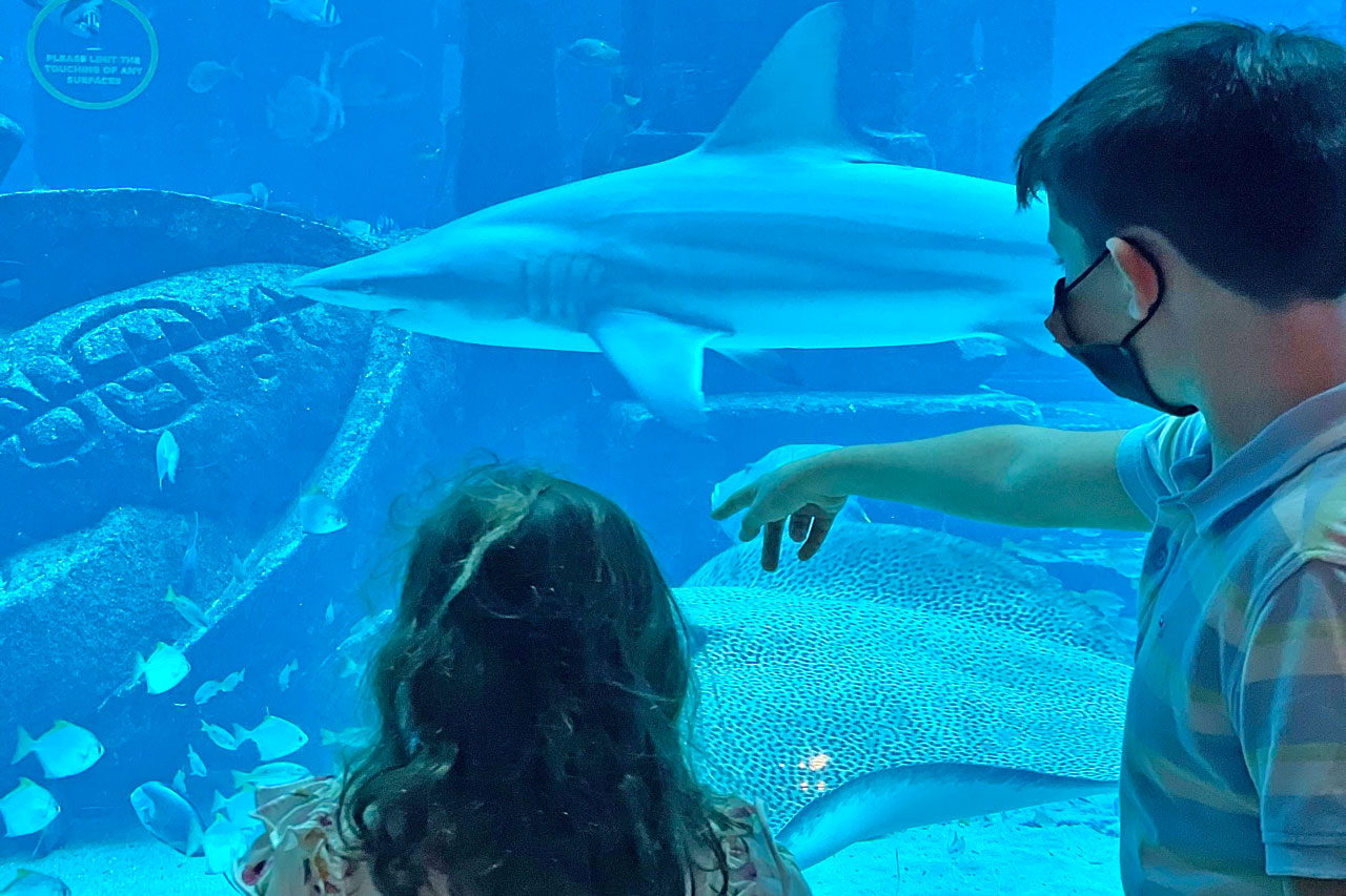 Aquarium_Atlantis-Dubai_reiss-Reisen-Luxusreisen